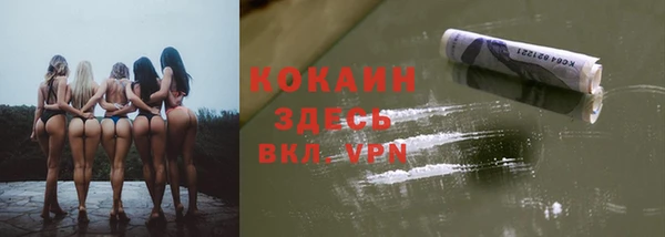 индика Балабаново
