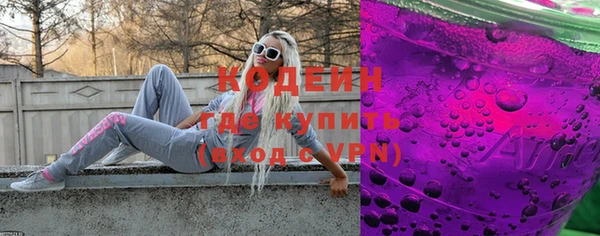 индика Балабаново