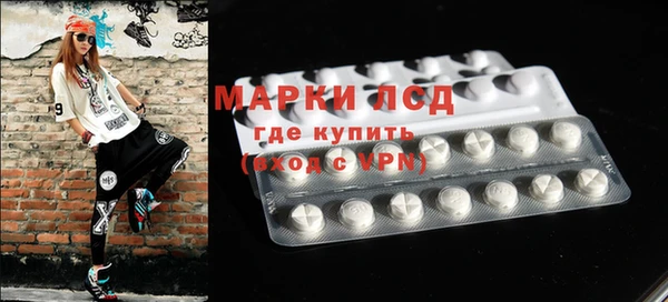 индика Балабаново