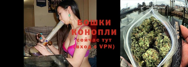 индика Балабаново