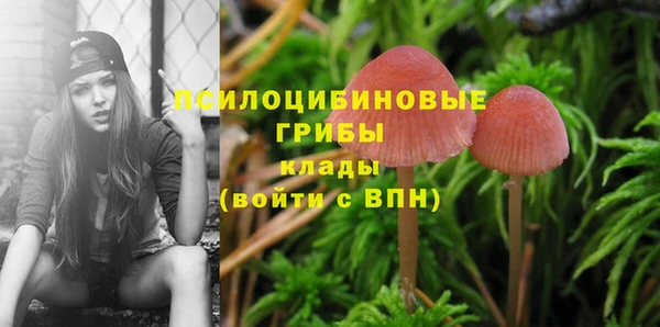индика Балабаново